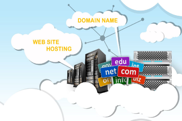 viet-mis-domain-hosting